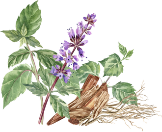 PATCHOULI