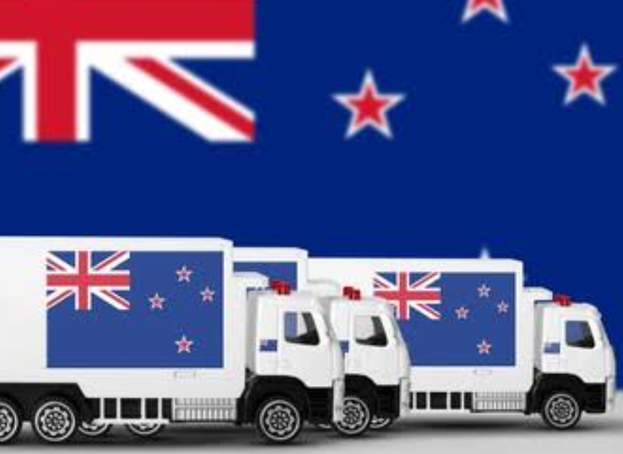 NZ FREIGHT - UNDER 5KG - $20